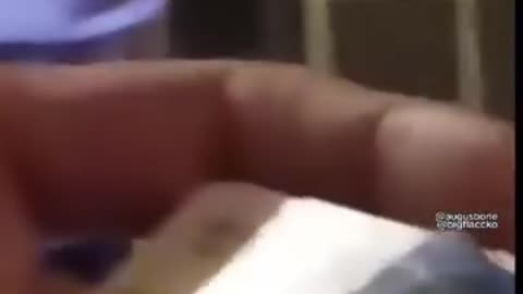 boy drives with a fake license