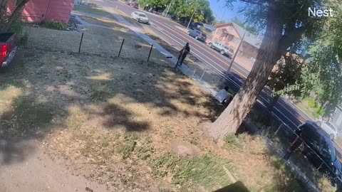 Guy Hitting a Girl. 09062025
