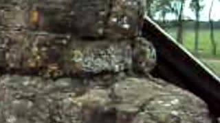 La piedra que da nombre a "Piedra Sola" - Uruguay (2013)