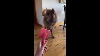 Daddy Goat 24/7 - Out Of Context Memes & Videos