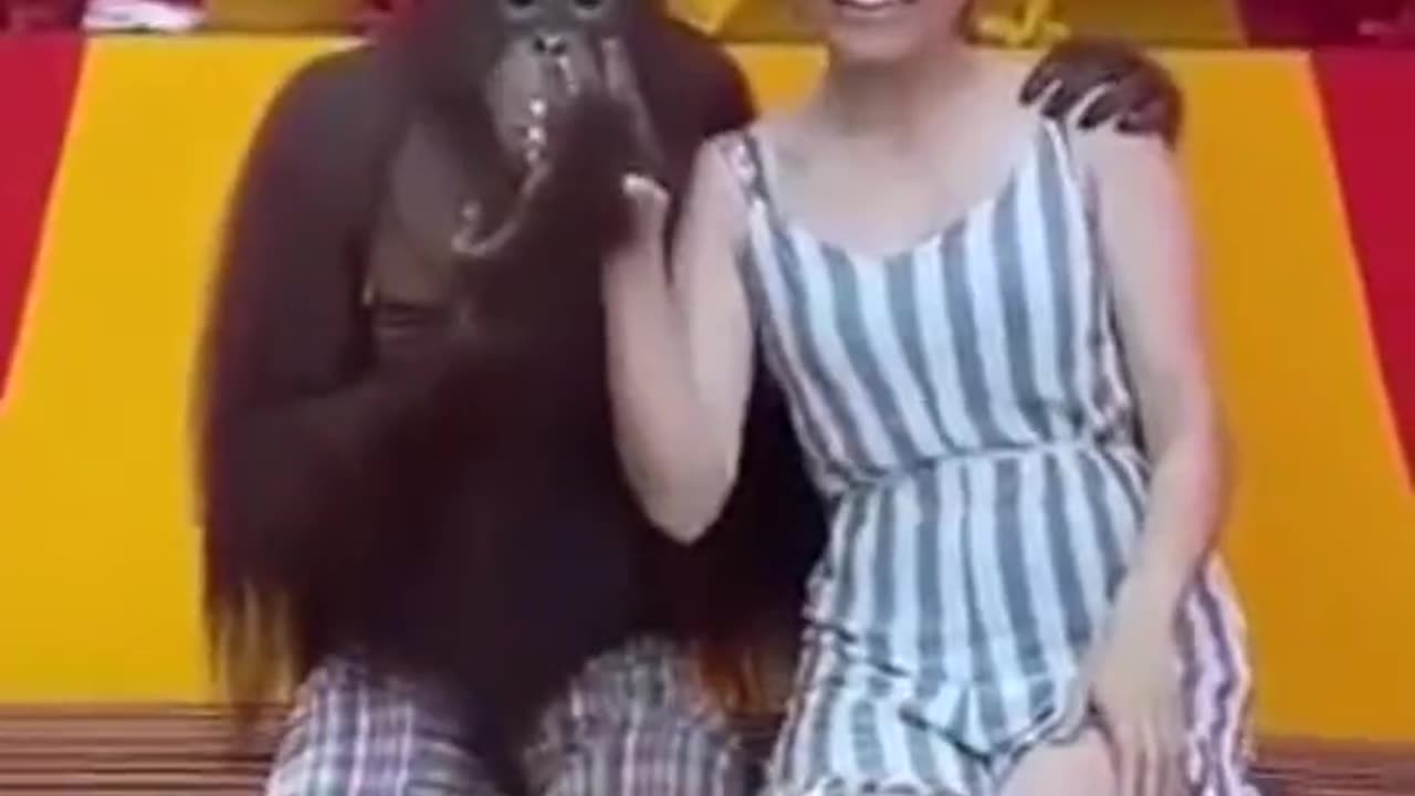 What a Gentleman