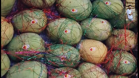 Full Yellow Mango – Mouthwatering and Ready to Eat!