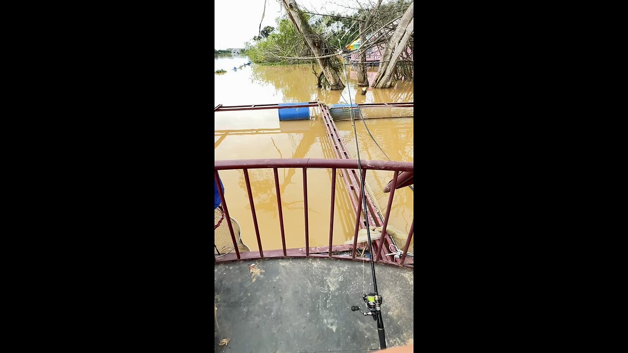 Fishing Vlogs