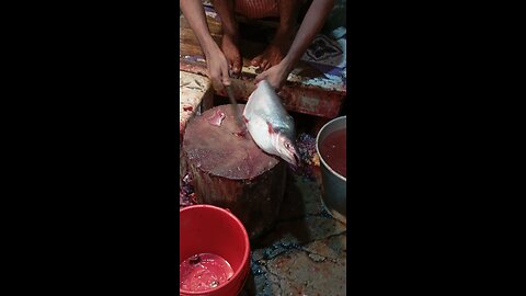 Fish cutting