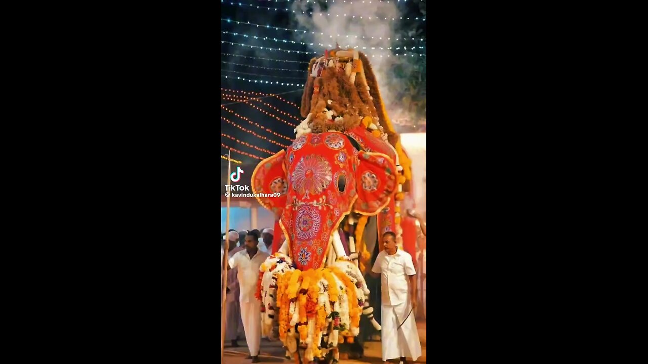 Traditional srilanka