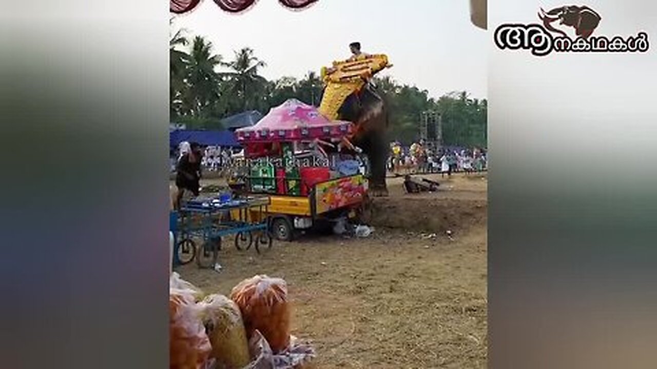 ഐസ്ക്രീം കട തല്ലിപ്പൊളിച്ച ആനക്കലി _ Elephant attack kerala 2025 _Elephant attack kerala 2025 latest