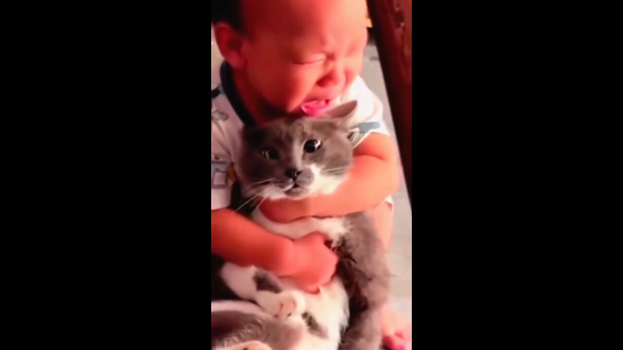 Help! I’ve Been Kidnapped by a Toddler 👶🐱