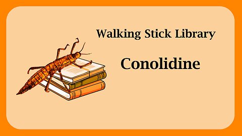 Conolidine