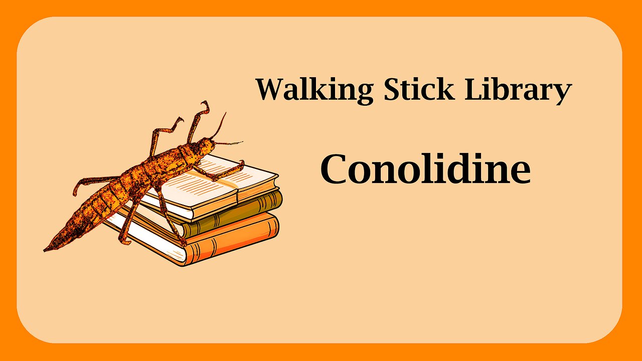 Conolidine