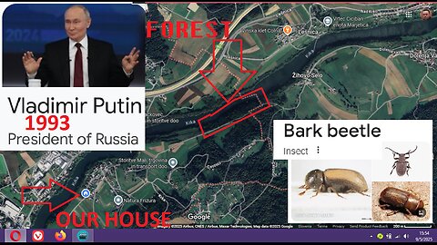 ABOUT PUTIN BARK BUG BEETLE RUSSO SLOVENIAN SERBIAN SCHIZOPHRENIA