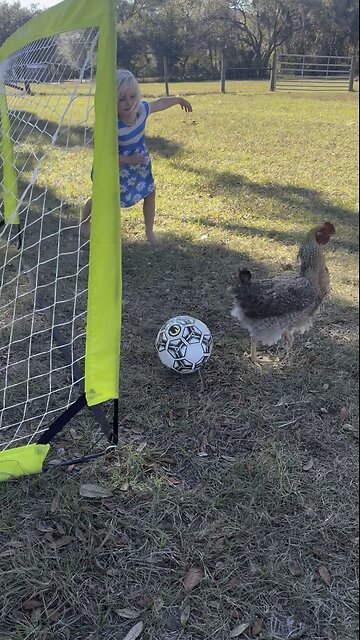 New Year’s Day chicken soccer finals