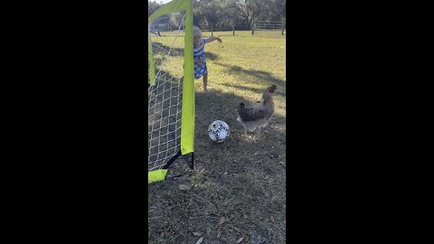New Year’s Day chicken soccer finals