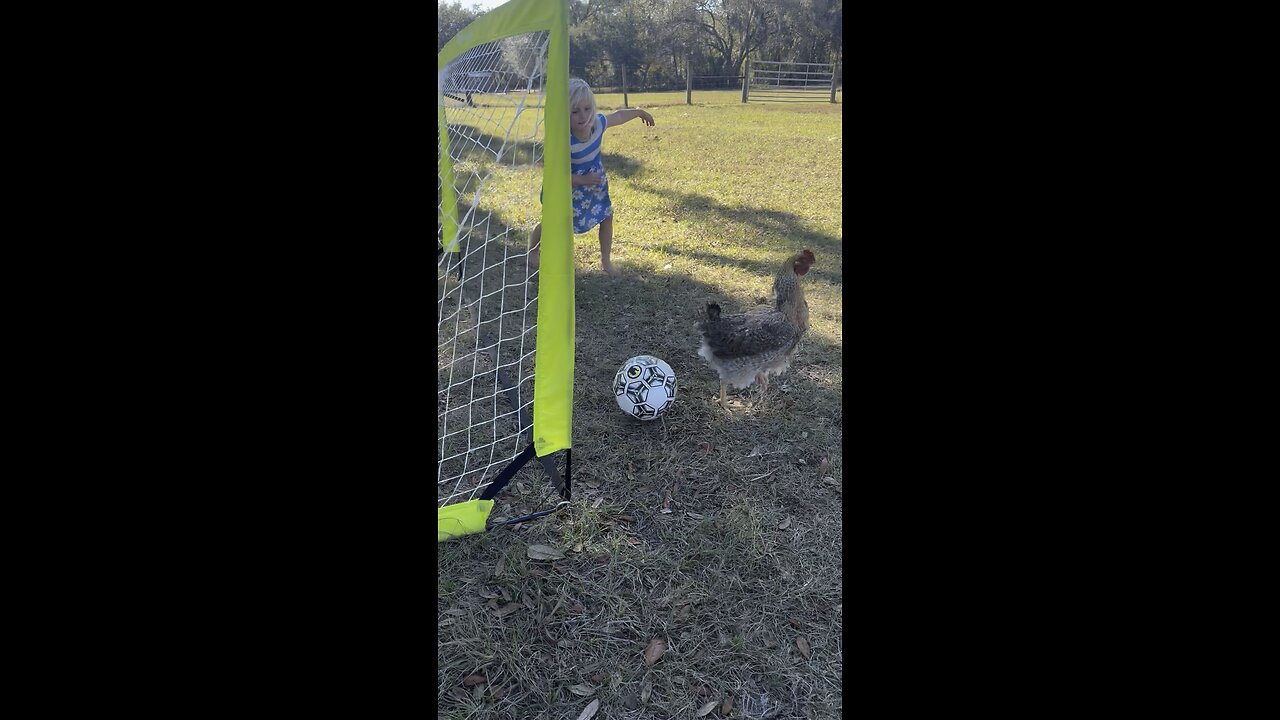 New Year’s Day chicken soccer finals