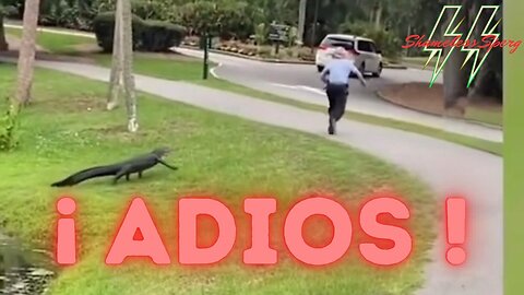 ¡Adios!