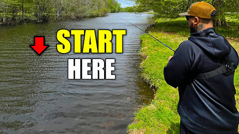 Bank Fishing 101: How Beginners Can Start Catching Bass Fast ( How To Bank Fish )