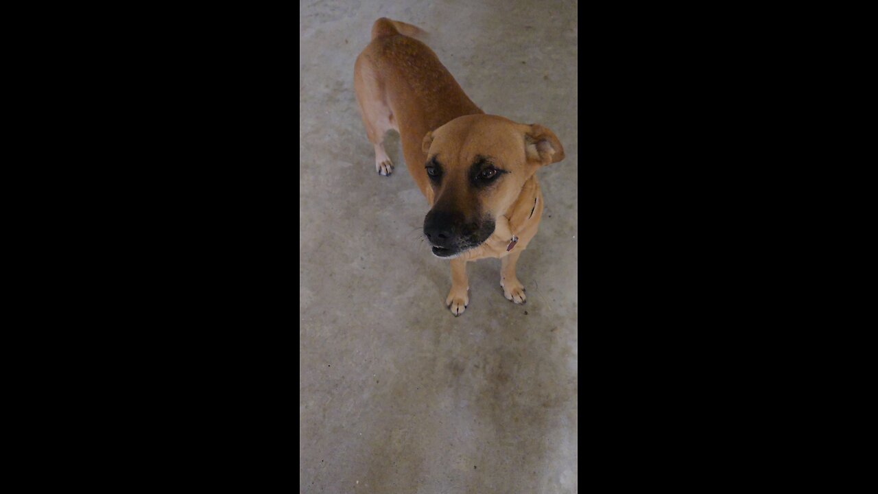 Lucy does have some explaining to do!