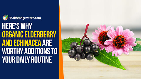 Here’s why Organic Elderberry and Echinacea are worthy additions to your daily routine