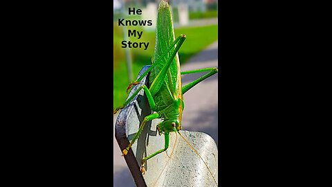 Ryan 🏆 510 ~ He Knows My Story