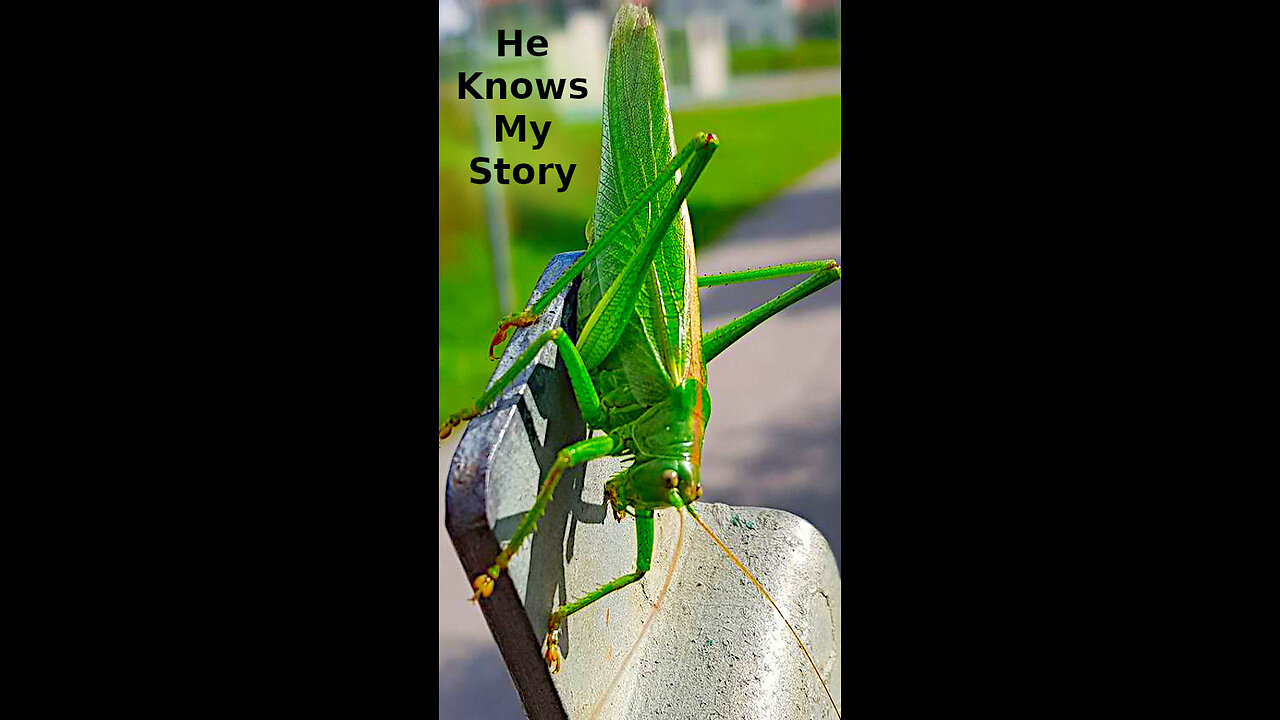Ryan 🏆 510 ~ He Knows My Story