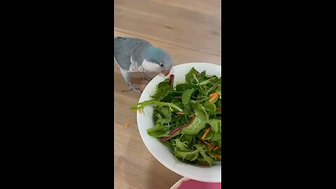 Lunch time