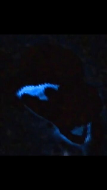 UFO/UAP Recorded on Space Telescope Live