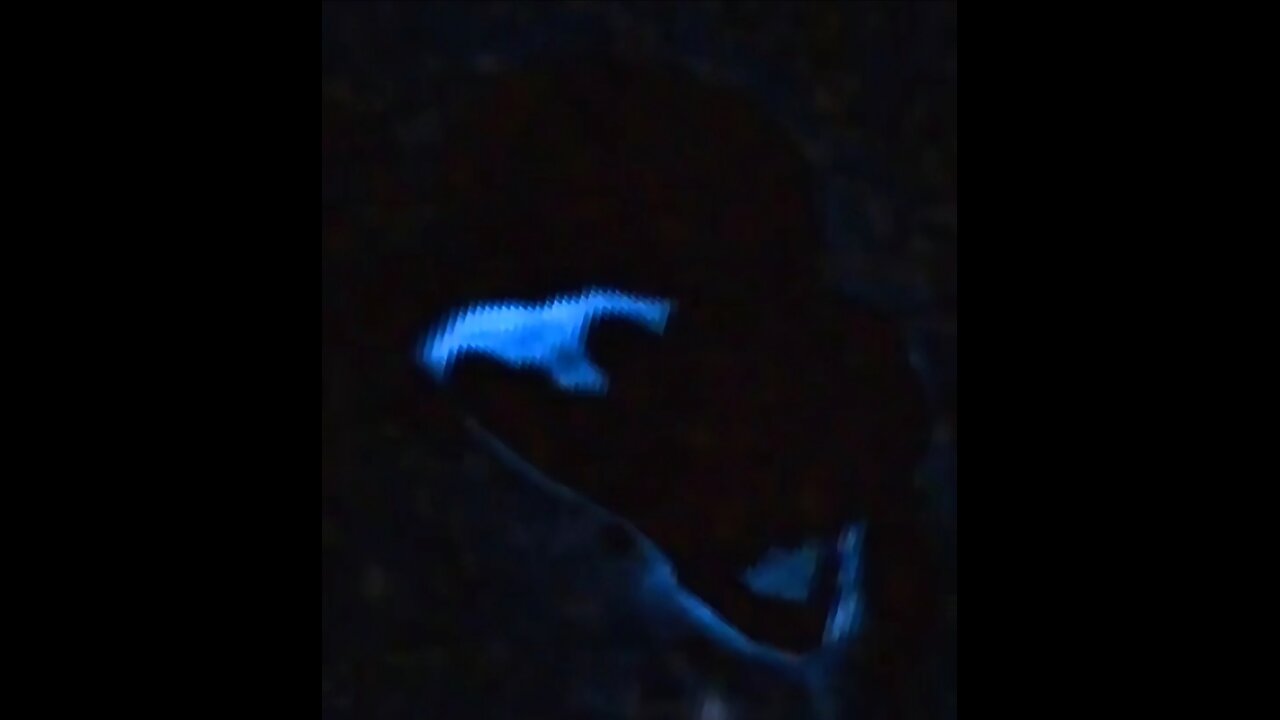 UFO/UAP Recorded on Space Telescope Live