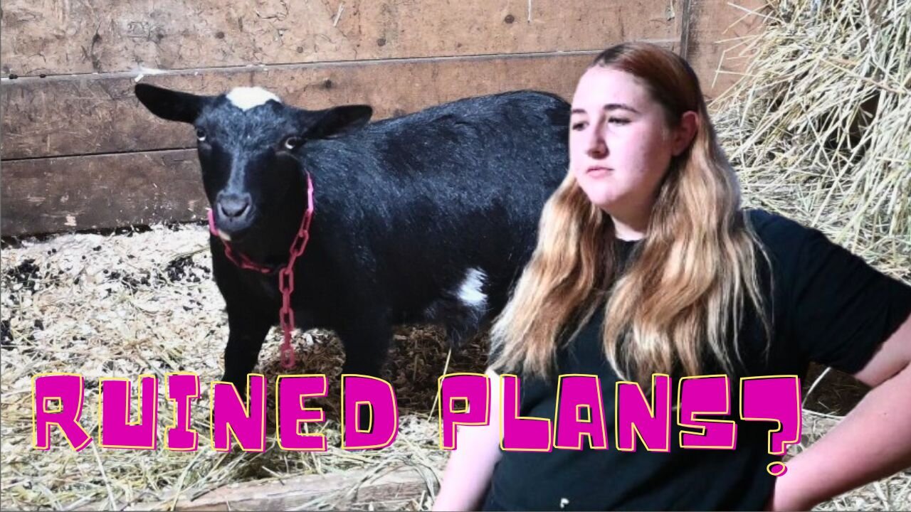 Are OUR Show Plans RUINED