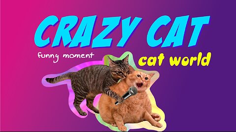 Crazy Cat