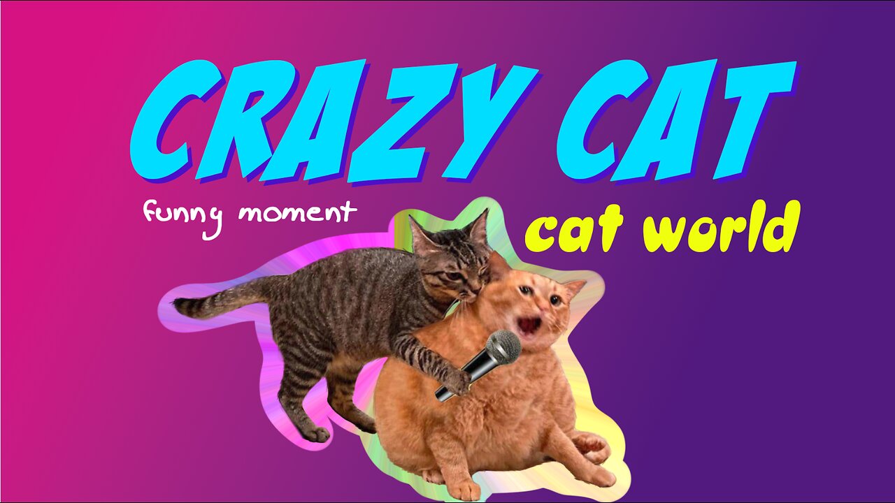 Crazy Cat