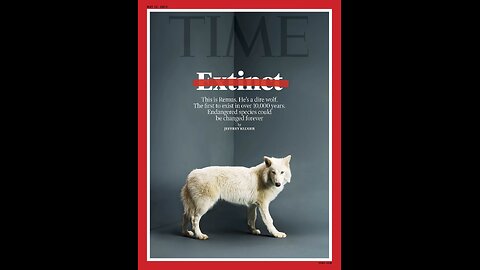 Colossal Biosciences pulls off Jurassic Park science and resurrects the Dire Wolves