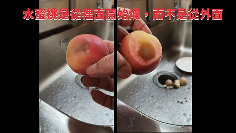 體細胞Somatids是生物體內而非外來的