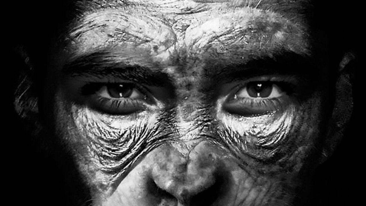 Towards A Unified Theory Of The Human Ape