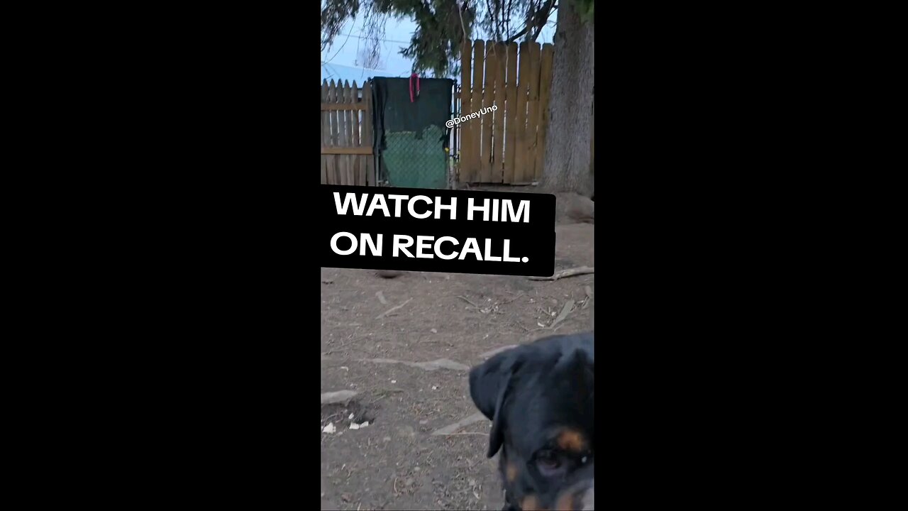Full Video