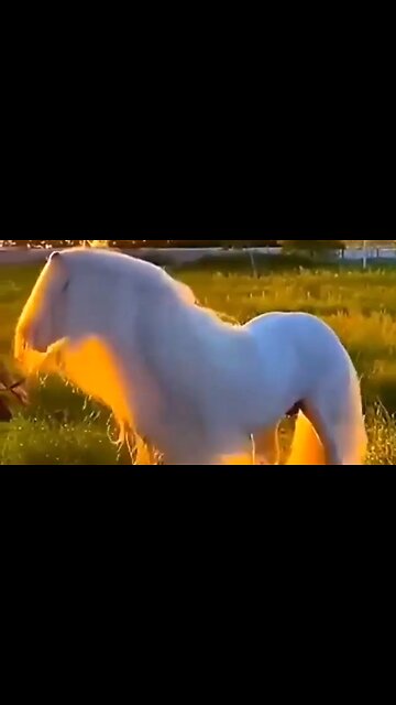 GOD'S GOAL IN COMMUNICATING - DAILY DEVOTIONAL ❤️