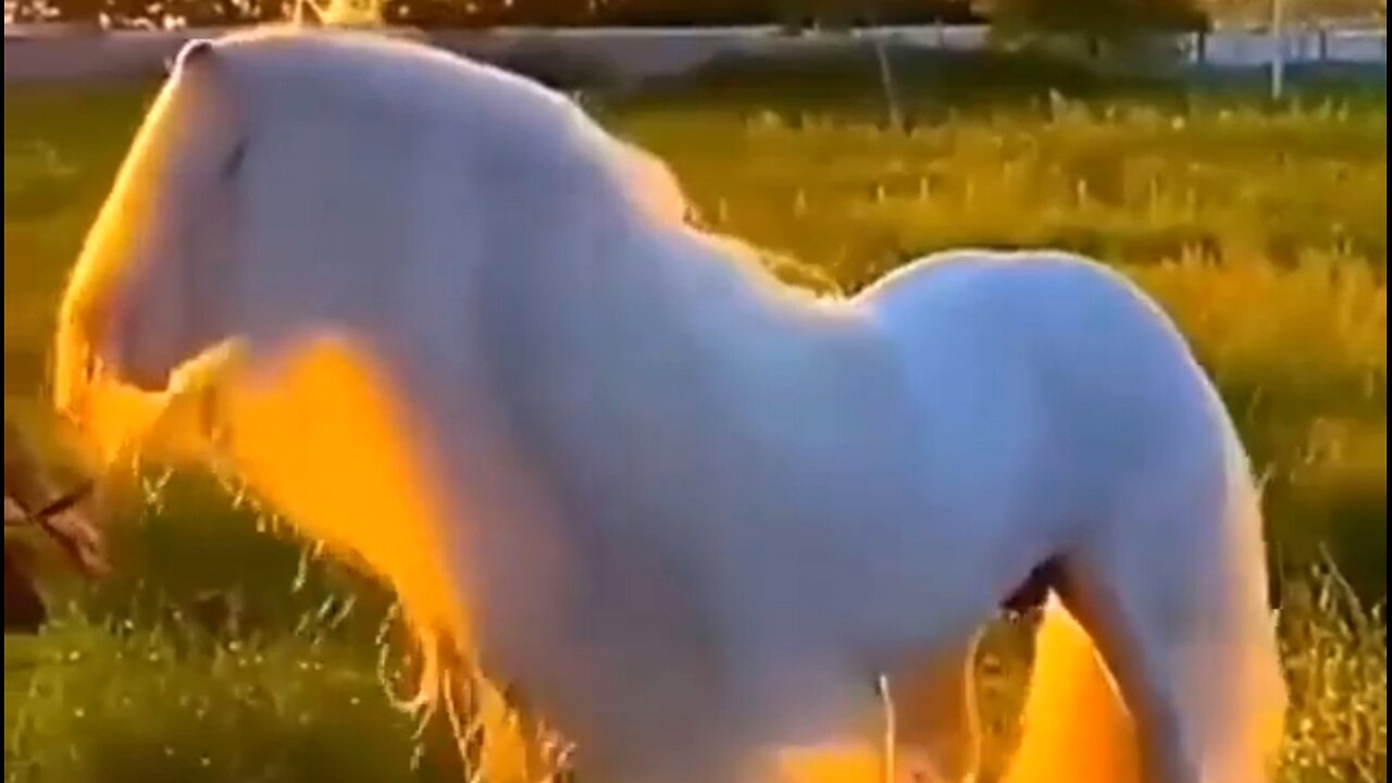 GOD'S GOAL IN COMMUNICATING - DAILY DEVOTIONAL ❤️