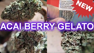 JK DISTRO Acai Berry Gelato