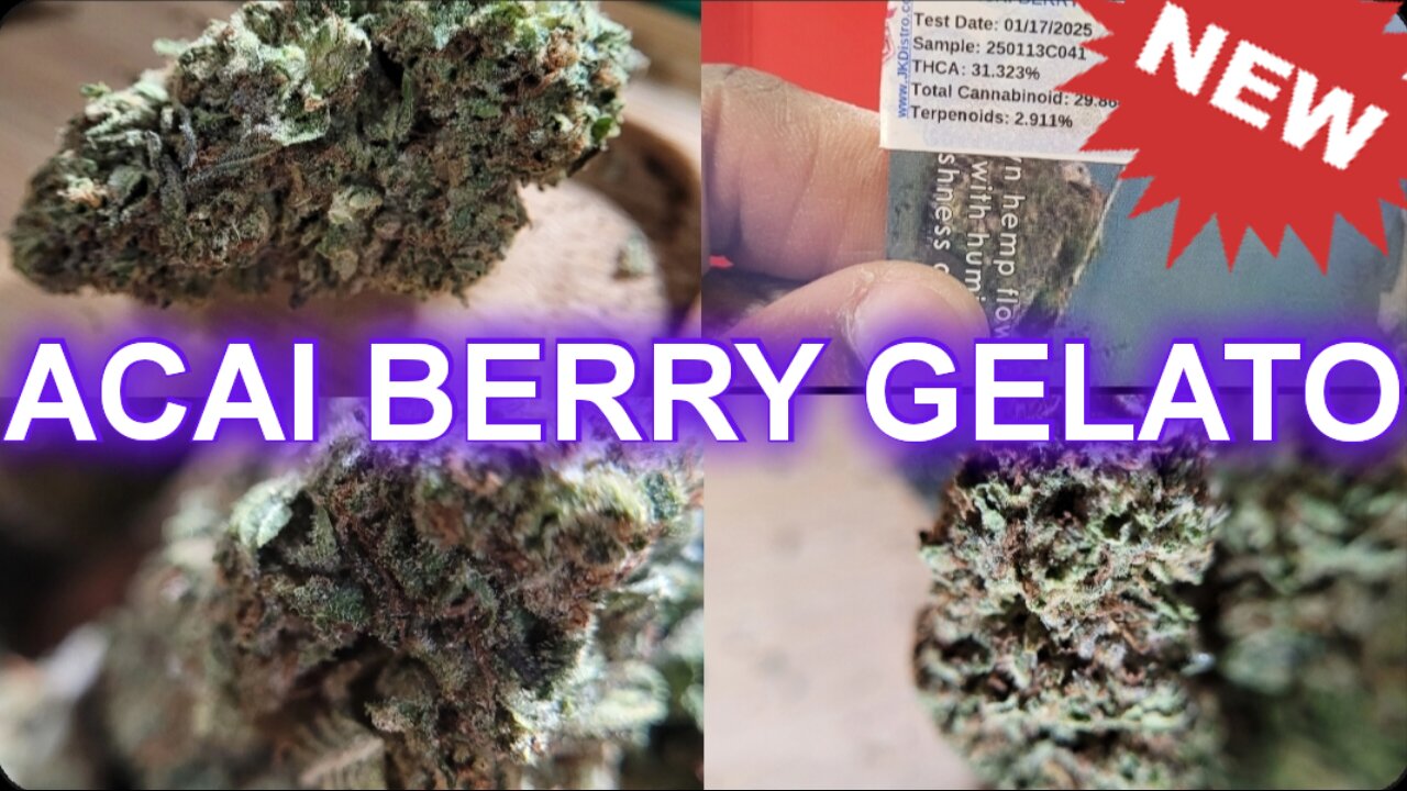 JK DISTRO Acai Berry Gelato