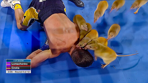 Boxing Knockouts but it's ruined by AI