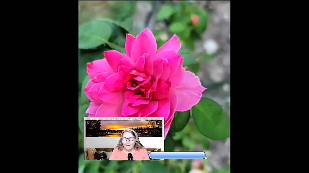 OLTEA HOZAN POEZIE editată de Valentin Trif -ÎN PĂCATE ȘI GREȘEALĂ ERAM MORȚI- CALEA CĂTRE RAI #live