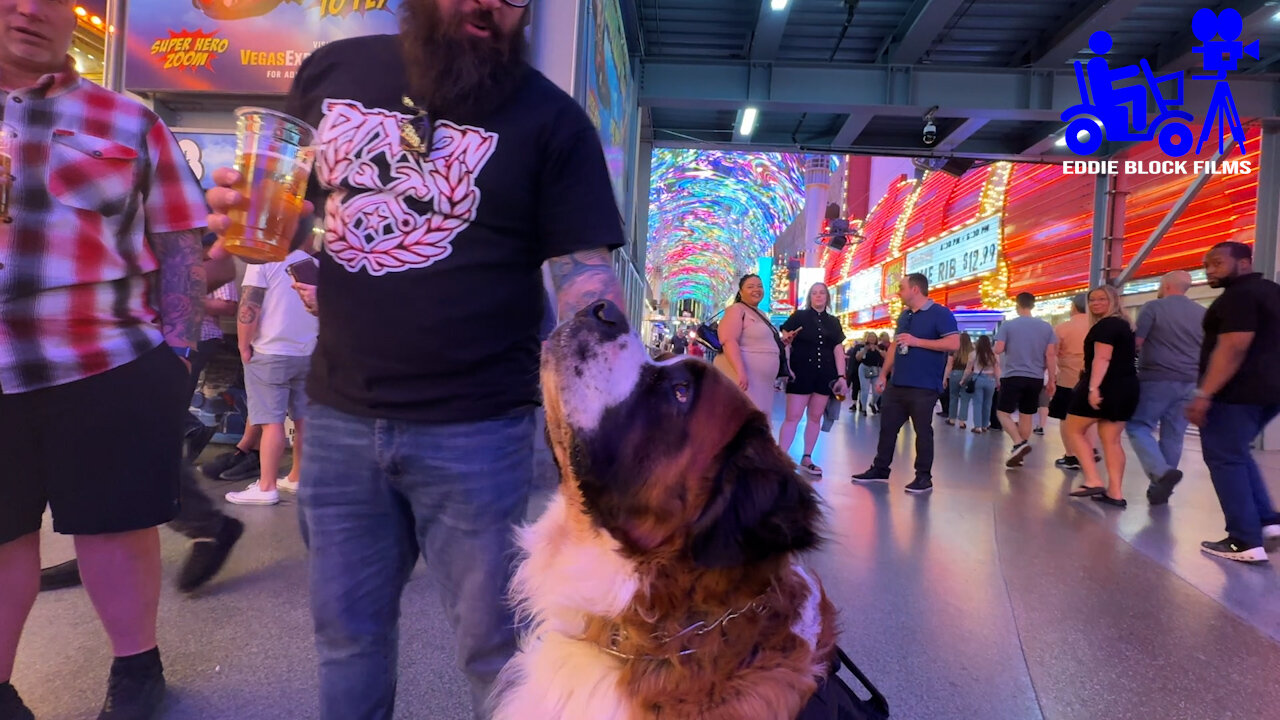 Donnie Goes To Fremont Street Las Vegas Part 4