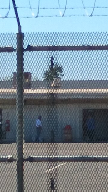 Non Christian Illegals working at Caltrans?