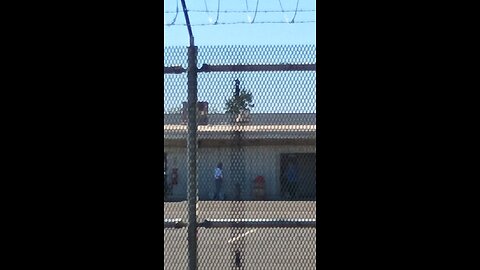 Non Christian Illegals working at Caltrans?