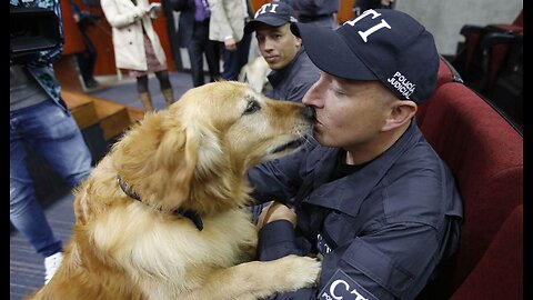 Dogs Proving Once Again to Be Man’s Best Friend With Ability to Sniff Out Fatal Parasite