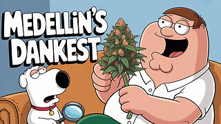 MEDELLIN + JK DISTRO 😎💨 SMOOTH HITS + GOOD VIBES ONLY