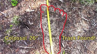 BIGFOOT DOCUMENTARY: Bigfoot Expedition to the Barrier Peaks! / Duke & Robert Boston