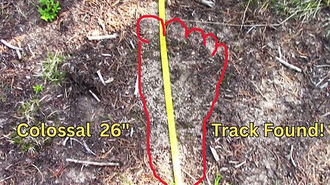 BIGFOOT DOCUMENTARY: Bigfoot Expedition to the Barrier Peaks! / Duke & Robert Boston