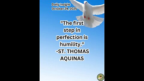 Daily Insight October 24, 2025 #faith #saint #insight