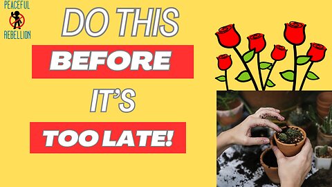 Now is the time! Are you getting ready? Peaceful Rebellion #awake #aware