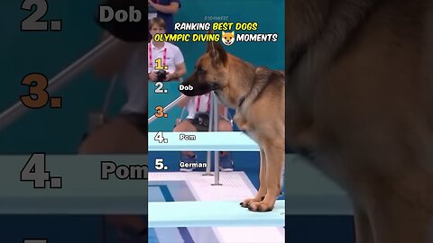 Ranking Best Dogs Olympic Diving Moments