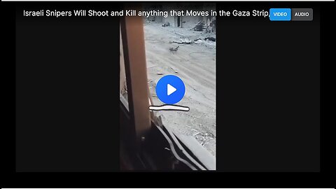 "Israeli Snipers Accused of Indiscriminate Firing in the Gaza Strip"